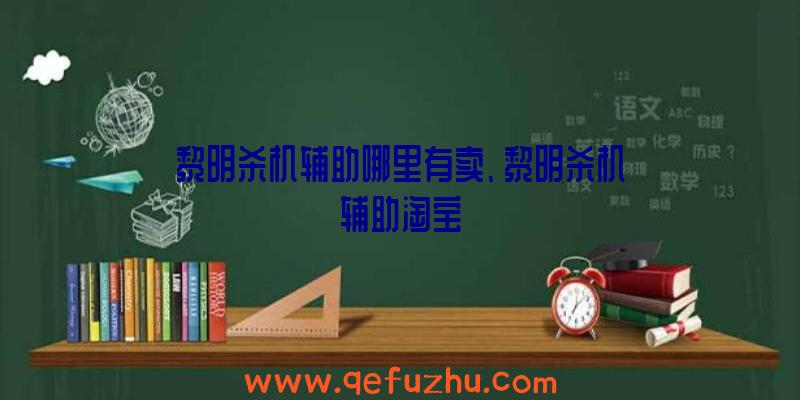 黎明杀机辅助哪里有卖、黎明杀机辅助淘宝